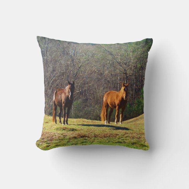 Dark Brown and light Brown horses Throw Pillow (Front)