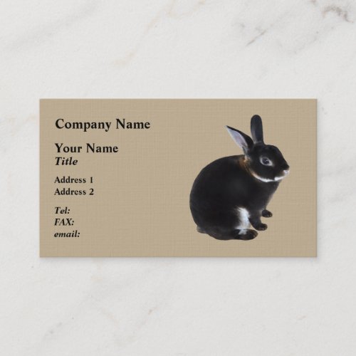 Dark Brown and White Mini Rex Rabbit Business Card