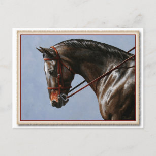 Dark Brown Bay Warmblood Dressage Horse Postcard