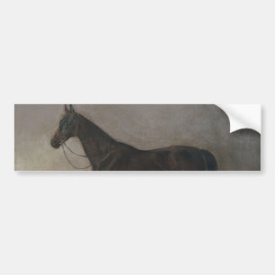 Dark Brown Gelding Horse (Vintage Animal Art) Bumper Sticker