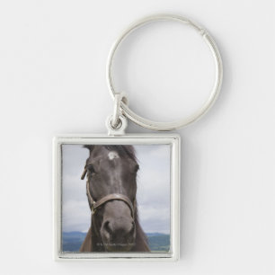 Dark Brown Horse Keychain