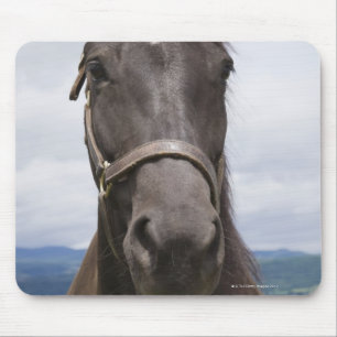 Dark Brown Horse Mouse Pad