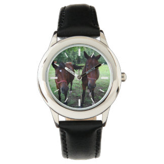 Dark brown Horses on pasture Watch