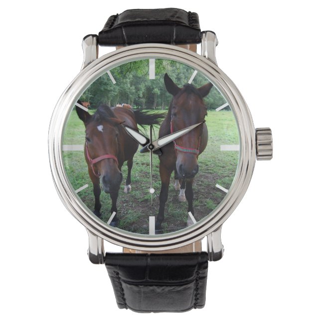Dark brown Horses on pasture Watch (Front)