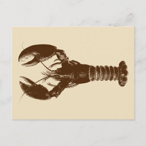 Dark Brown Lobster on Light Beige Postcard