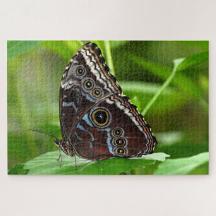 Dark Butterfly Sitting on Leaf Jigsaw Puzzle