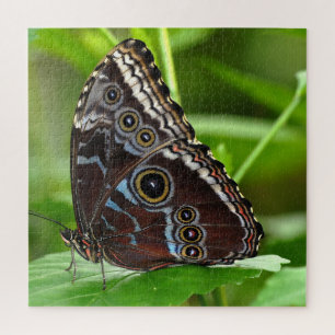 Dark Butterfly Sitting on Leaves in Nature Jigsaw Puzzle