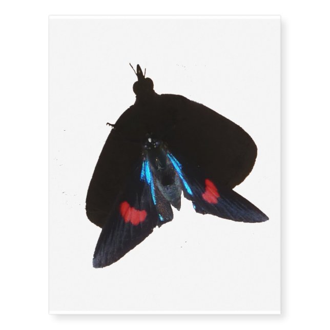 Dark Butterfly Temporary Tattoos (Front)