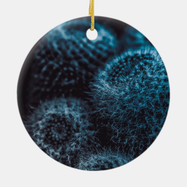 Dark Cactus Ceramic Ornament (Back)