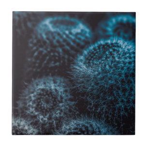 Dark Cactus Ceramic Tile