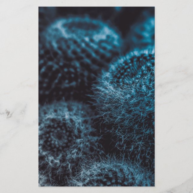 Dark Cactus Stationery (Front)