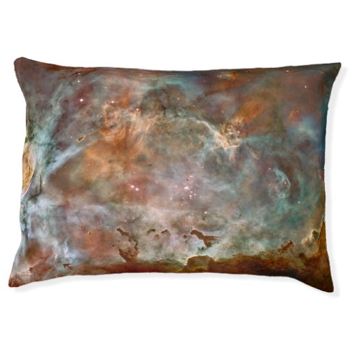 Dark Clouds of Carina Nebula Hubble Space Pet Bed