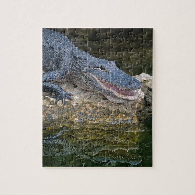 Dark Crocodile with Clear Reflection in Water Jigsaw Puzzle (Vertical)