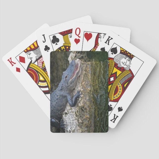 Dark Crocodile with Clear Reflection in Water Poker Cards (Back)