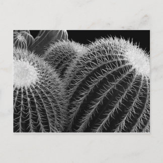 Dark Desert. Postcard