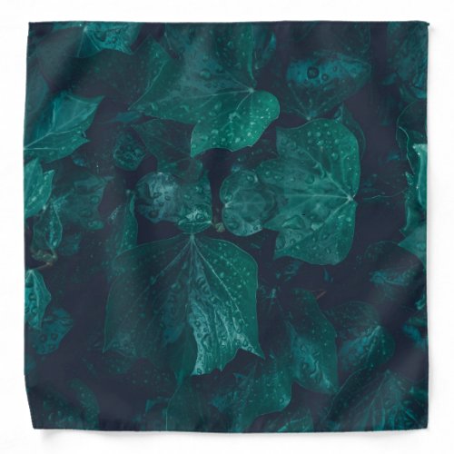 Dark emerald green ivy leaves water drops bandana