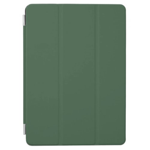 Dark Emerald Green Solid Color iPad Air Cover