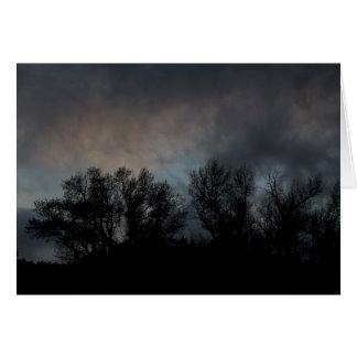 Dark Evening Cards