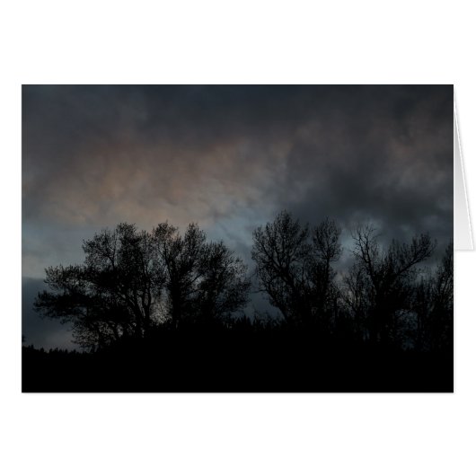 Dark Evening Cards (Front Horizontal)