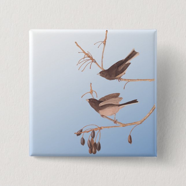 Dark-Eyed Junco Audubon Snow Birds on Bare Branch Button (Front)