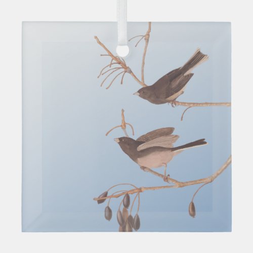 Dark_Eyed Junco Audubon Snow Birds on Bare Branch Glass Ornament