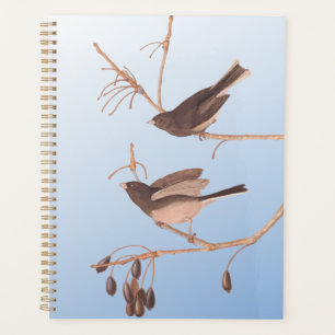 Dark-Eyed Junco Audubon Snow Birds on Bare Branch Planner