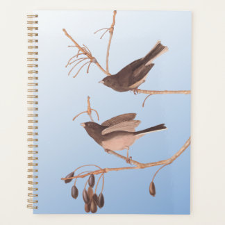 Dark-Eyed Junco Audubon Snow Birds on Bare Branch Planner