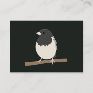 Dark-Eyed Junco Bird Art