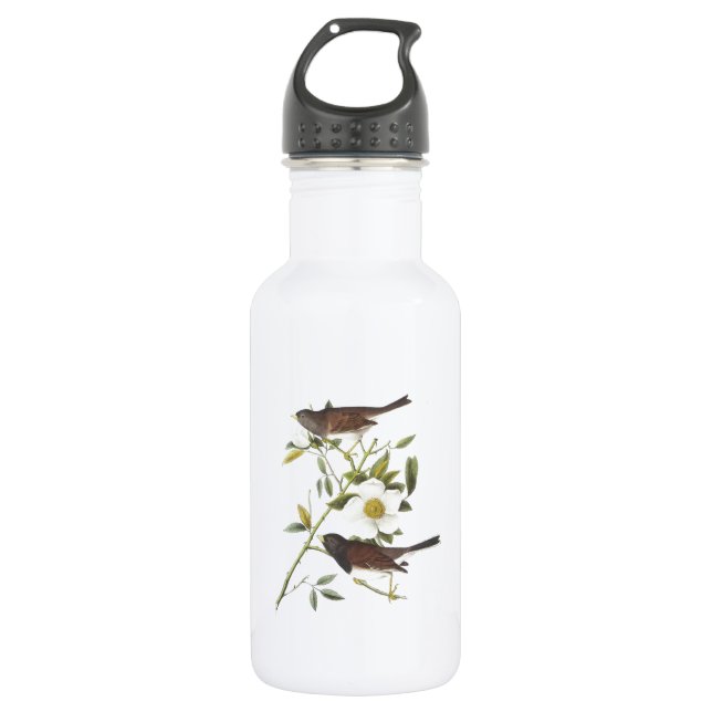 Dark-eyed Junco by Audubon Water Bottle (Front)