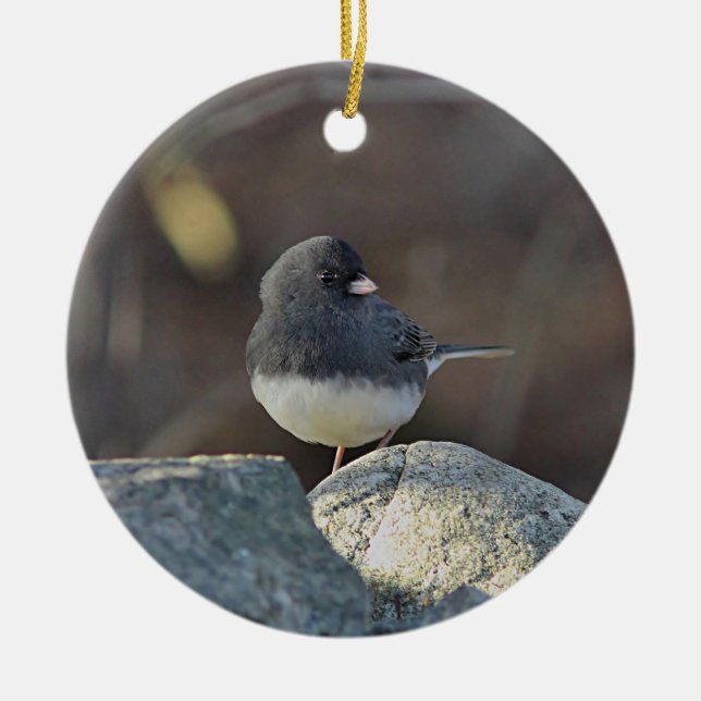 Dark-eyed junco ceramic ornament (Front)