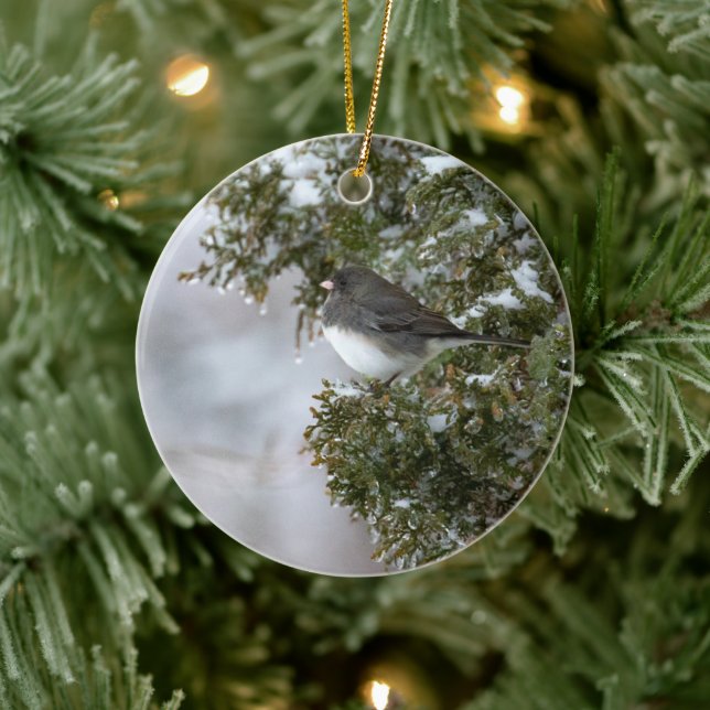 Dark-eyed Junco | Ceramic Ornament (Tree)