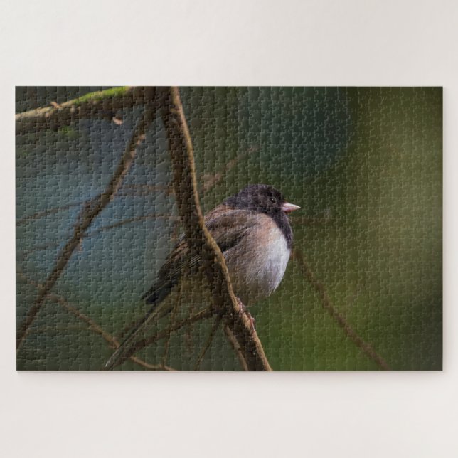 Dark Eyed Junco Jigsaw Puzzle (Horizontal)