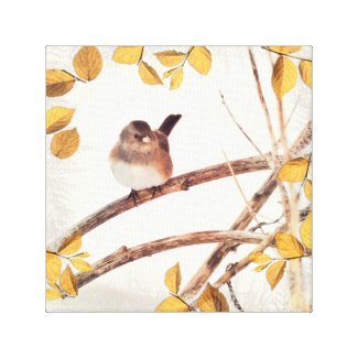 Dark Eyed Junco on Tree Branch Winter Bird Canvas Print