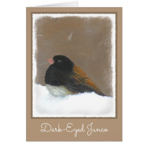Dark-Eyed Junco Painting - Original Bird Art Cards