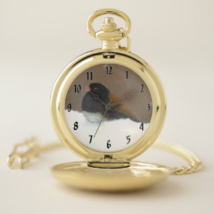 Dark-Eyed Junco Painting - Original Bird Art Pocket Watch