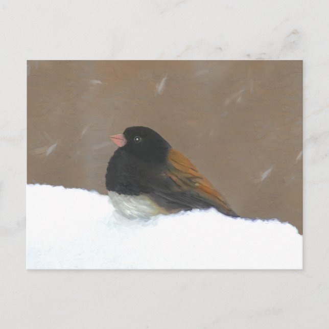 Dark-Eyed Junco Painting - Original Bird Art Postcard (Front)