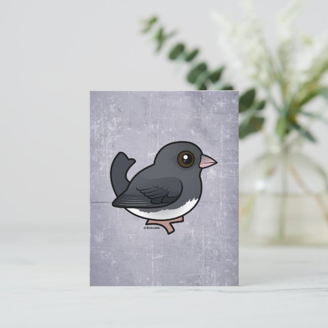 Dark-eyed Junco (slate-colored) Postcard (Standing Front)