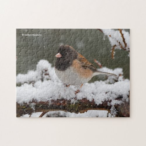 Dark_Eyed Junco Sparrow Songbird on Snowy Fence Jigsaw Puzzle