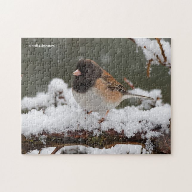 Dark-Eyed Junco Sparrow Songbird on Snowy Fence Jigsaw Puzzle (Horizontal)