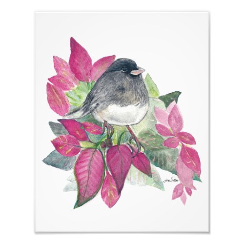 Dark Eyed Junco Watercolor Photo Print