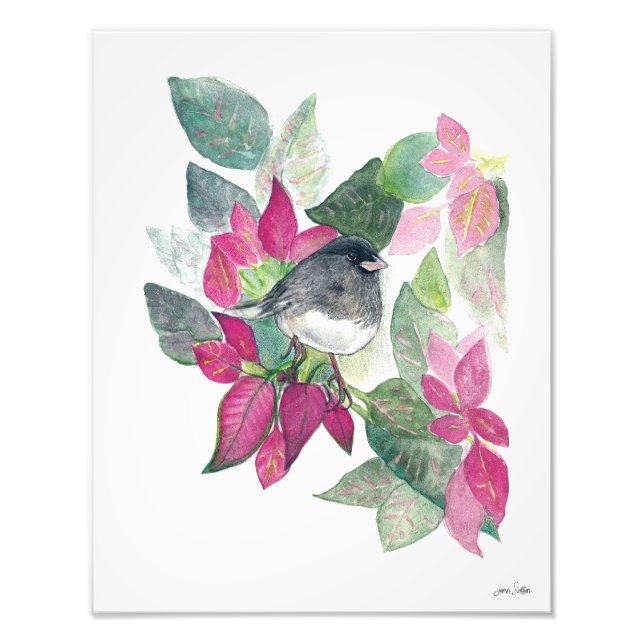 Dark Eyed Junco Watercolor Photo Print (Front)