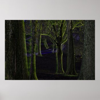 Dark Forest Poster by Solasmoon at Zazzle