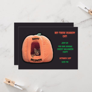 Dark Gray and orange Pumpkin Kitten Halloween Invitation