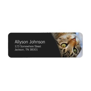 Dark Gray & Tabby Cat Address Labels by AllyJCat at Zazzle