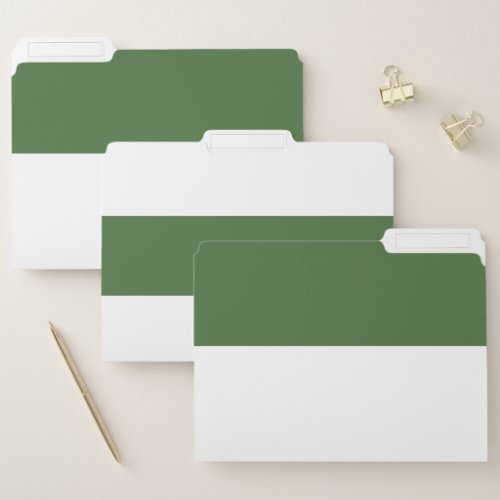 Dark Green and White Simple Extra Wide Stripes File Folder
