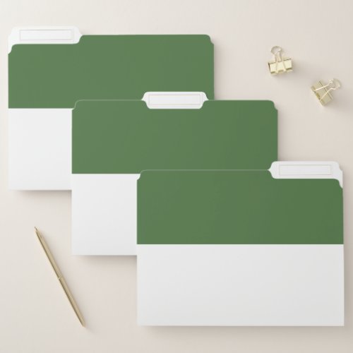 Dark Green and White Simple Extra Wide Stripes File Folder