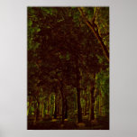 Dark Green Forest Poster at Zazzle
