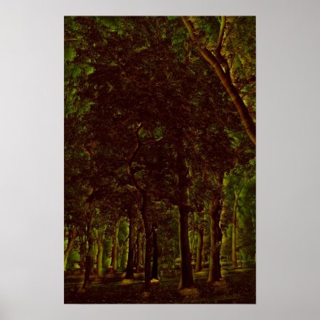 Dark Green Forest Poster