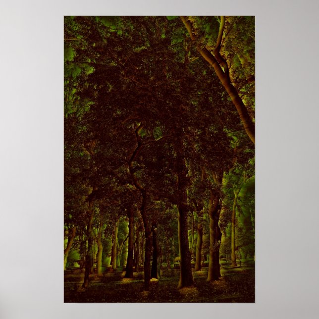 Dark Green Forest Poster (Front)