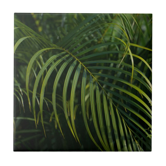Dark green Palm Leaves Ceramic Tile (Front)